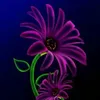 Martha Caldas - @user601749517 - TikTok
