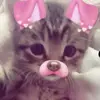 Martha Canada - @marthacanada2 - TikTok