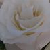 Martha Candelaria - Facebook