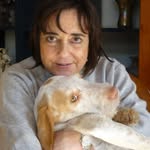 Martha Canfield - @canfield9944 - Instagram