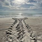 Martha Carroll Carson - @carson_martha - Instagram