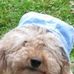 Martha Carson - Facebook