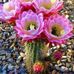 Martha Cary - Facebook