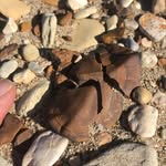 Martha Cary Eppes - @missyeppes - Instagram