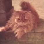 Martha-Cary Sadler - @marthacarysadler77 - Instagram