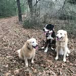 Martha-Cary Sadler - @marthacarysadler - Instagram