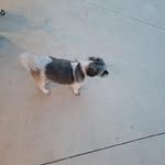 Martha Carylon Chapman - @marthacarylonchapman - Instagram