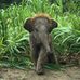 Martha Cecil - Facebook