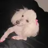 Martha Cecilia Ceron - @marthaceciliaceroncalde0 - TikTok
