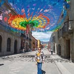 Martha Ceron De Valle - @marthacdev - Instagram