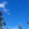 Martha Chamorro - @martha.chamorro7 - TikTok