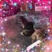 Martha Chaney - Facebook