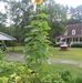 Martha Chaney - Facebook
