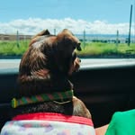 Martha Charry - @marthaccharry - Instagram