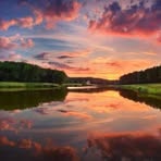 Martha Chestnut - Facebook