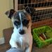 Martha Clanton - Facebook
