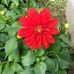 Martha Cloud - Facebook
