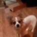 Martha Cloud - Facebook