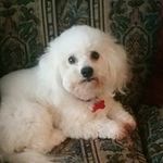 martha cloud - @marthacloud9 - Instagram