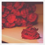 Martha Coghill - @landshabbyyau - Instagram