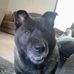 Martha Conklin - Facebook
