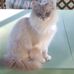 Martha Connell - Facebook