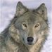 Martha Coolidge - Facebook