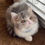 Martha May Cornelius - @martha_may_cornelius - Instagram
