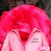 Martha Coss - Facebook