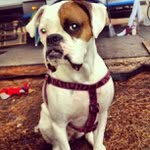 Martha Cronin - @coloberal - Instagram