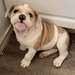 Martha Cuenca - @martha.cuenca.5099 - Instagram