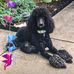 Martha Cupp - Facebook