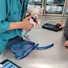 martha teacuppuppies - @martha.teacuppupp - TikTok