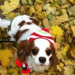 Martha Cutter-Wilson - @mcw44 - Instagram