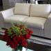 Martha Alicia Davalos Galeria de Muebles - Facebook