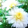 Martha Davalos - @martha.davalos7 - TikTok