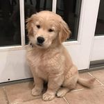 Martha Deaver - @deavermartha - Instagram