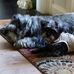 Martha Deaver - Facebook
