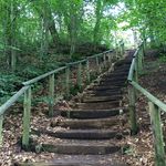 Martha Deming - @marthademing - Instagram