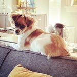 Martha Denham - @mlle.claudette - Instagram