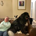 Martha Duffy Dexter - @marthadexter - Instagram