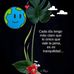 Martha Dorantes - Facebook