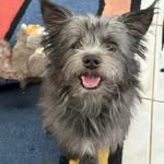 Marty Dover - @marthadover578 - Instagram