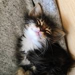 Martha♥ - @martha_dow_ - Instagram
