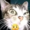 martha - @marthadraftss - TikTok