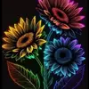 Martha Drummond - @martha.drummond - TikTok