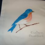 Martha Dutcher - Facebook