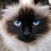 Martha Rachel Dykstra - Facebook