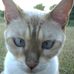 Martha Earhart Vibul - Facebook