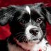 Martha Ebersole - Facebook